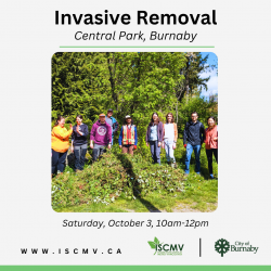 Invasive Removal - Central Park - October 2026 photo