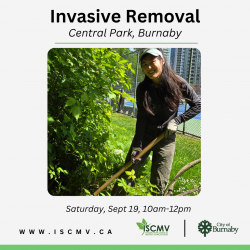 Invasive Removal - Central Park - September 2026 photo