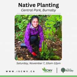 Native Planting - Central Park - November 2026 photo